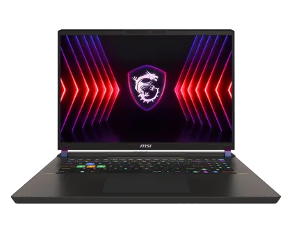 MSI VECTOR 17 HX A13VHG-693BG