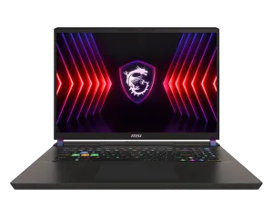 MSI VECTOR 17 HX A13VHG-693BG