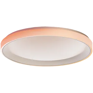 Aqara Ceiling Light T1M: Model No: CL-L02D