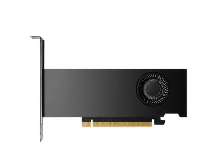 Video card PNY Nvidia RTX 2000 16GB GDDR6 ADA Gen. LP