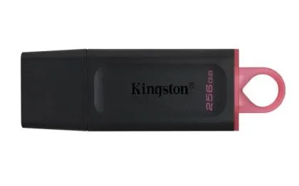 256GB USB3.2 DTX KINGSTON