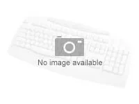 HP 125 Wired Keyboard (BG)