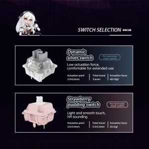 VGN Wireless Professional Gaming Mechanical Keyboard - V87 PRO Athena - Aniya Switches, BT5.0, 2.4G