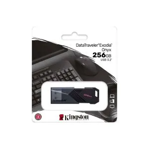 256GB 3.2 KINGSTON / DTXON
