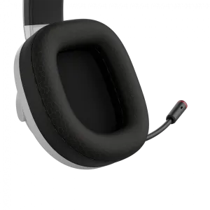 CANYON headset EGO GH-16 3in1 2.4Ghz+BT White