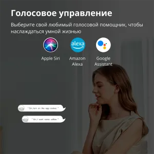 Aqara Smart Plug (versiunea UE): Model Nr: SP-EUC01; SKU: AP007EUW01