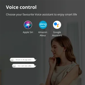Aqara Smart Plug (versiunea UE): Model Nr: SP-EUC01; SKU: AP007EUW01