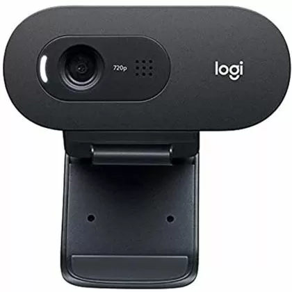 Cameră web cu microfon LOGITECH C505e, HD, USB2.0