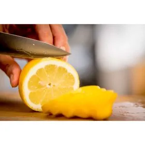 Cuțit Tefal K2320514, Ingenio Ice Force sst. Cuțit de toaletă 9cm