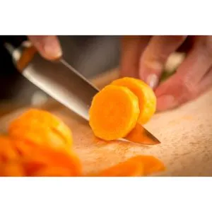 Cuțit Tefal K2320914, Ingenio Ice Force sst. Cuțit utilitar 11 cm
