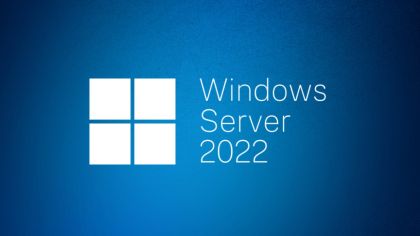 Software Dell Microsoft Windows Server 2022 1CAL User