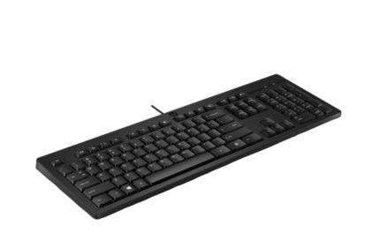 Keyboard HP 125 Wired Keyboard