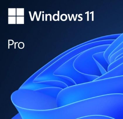 Software Microsoft Windows 11 Pro x64 Limba engleză OEM