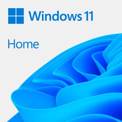 Windows 11 Acasă 64 de biți engleză Intl 1pk DSP OEI DVD