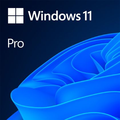 Windows 11 Professional pe 64 de biți, engleză Intl 1pk DSP OEI DVD