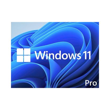 WIN 11 PRO 64BIT ENG DSP DVD