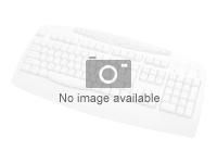 HP 125 Wired Keyboard (BG)