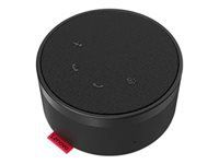 Difuzoare difuzor Lenovo Go cu fir