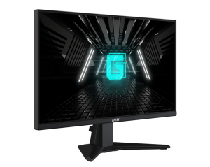 MSI 24.5 G255F
