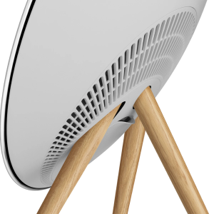 Bang & Olufsen Beosound A9 5.G Natural Aluminum B - FLEX