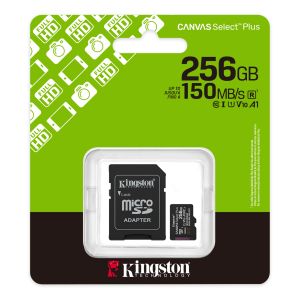 256G SDMIC KINGS CANVAS SEL+A1