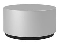 MS Surface Dial SC BG/YX/RO/ST CEE EM Hdwr