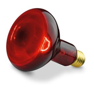Аксесоар Beurer IL 11 Infrared bulb 100 W