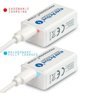 Rechargeable Battery  R22 9V LiIon 500mAh/550 precharged +micro Usb 1 pc. pack EVERACTIVE