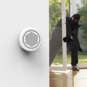 Hama Smart Alarm Siren, 97.4 dB, Sound and Flashing Light, for Voice / App Control