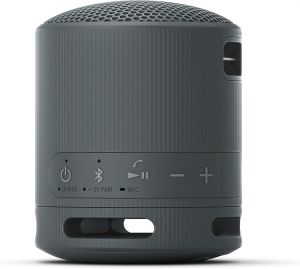 Loudspeakers Sony SRS-XB100 Portable Bluetooth Speaker, black