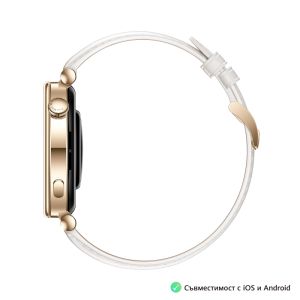 Watch Huawei GT4 Aurora-B19L (Female), Leather