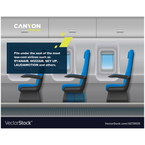 CANYON CSZ-03, rucsac dimensiune cabină pentru laptop de 15,6 inchi, poliester, verde închis