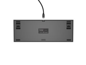 Keyboard Genesis Gaming Keyboard Thor 404 TKL Black RGB Backlight US Layout Brown Switch