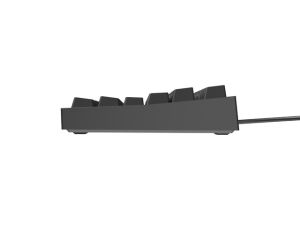 Keyboard Genesis Gaming Keyboard Thor 404 TKL Black RGB Backlight US Layout Brown Switch