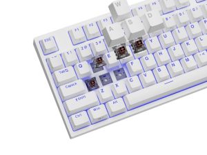 Клавиатура Genesis Gaming Keyboard Thor 404 TKL White RGB Backlight US Layout Brown Switch