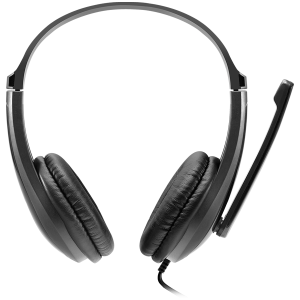 CANYON CHSU-1, căști de bază pentru PC cu microfon, mufă USB, plăcuțe din piele, lungime cablu plat 2,0 m, 160*60*160 mm, 0,13 kg, Negru;