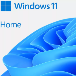 WIN 11 HOME 64BIT ENG USB FPP