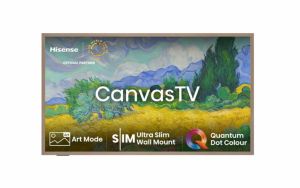 Телевизор Hisense CanvasTV, 55