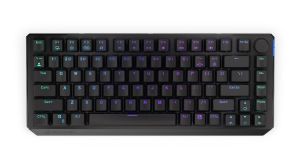 Gaming Mechanical Keyboard ENDORFY Thock 75% Wireless - Kailh Black Switch