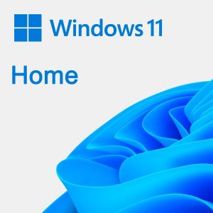 Win 11 Home 64Bit Bulgarian 1pk DSP OEI DVD